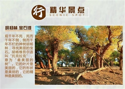 【私人定制團】-中國西北新疆喀納斯大環(huán)線16日游（西安接團-成都出境）