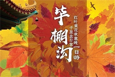【春花秋葉，夏涼冬雪】-畢棚溝半自由行一日游，成都出發(fā)