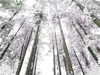 行程美圖