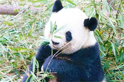 行程美圖