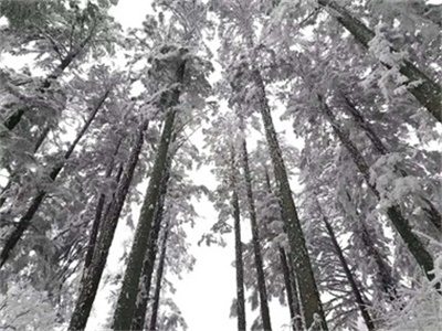 行程美圖