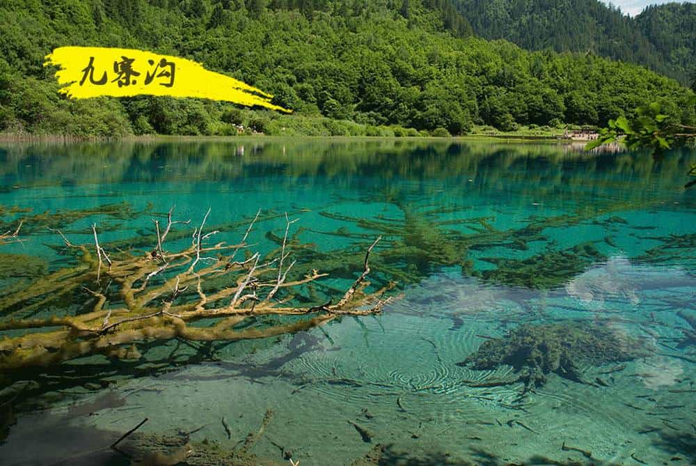 行程美圖