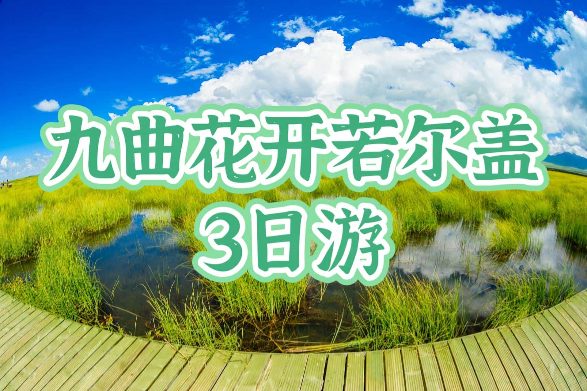 【九曲花開若爾蓋】舒適之旅3日游