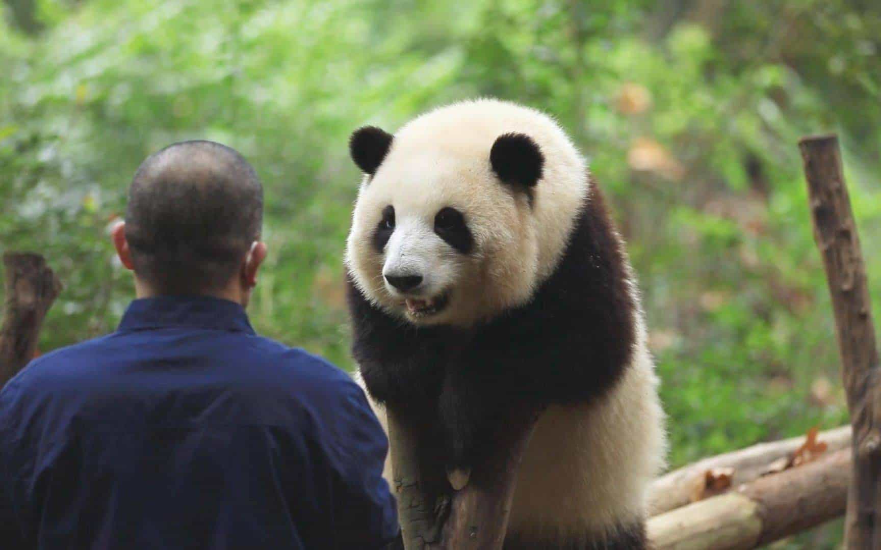 行程美圖