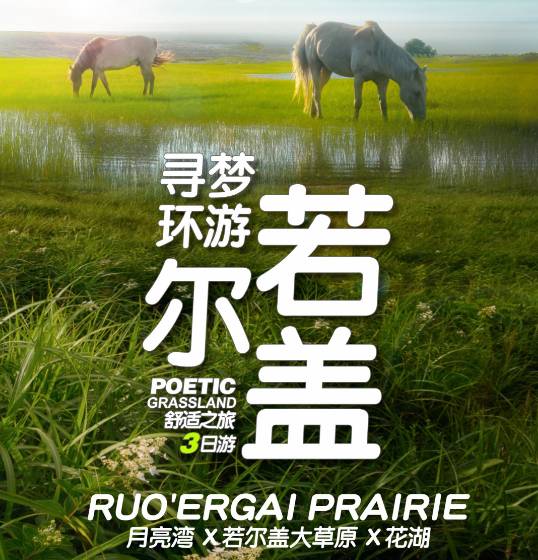 【尋夢環(huán)游若爾蓋】舒適之旅3日游