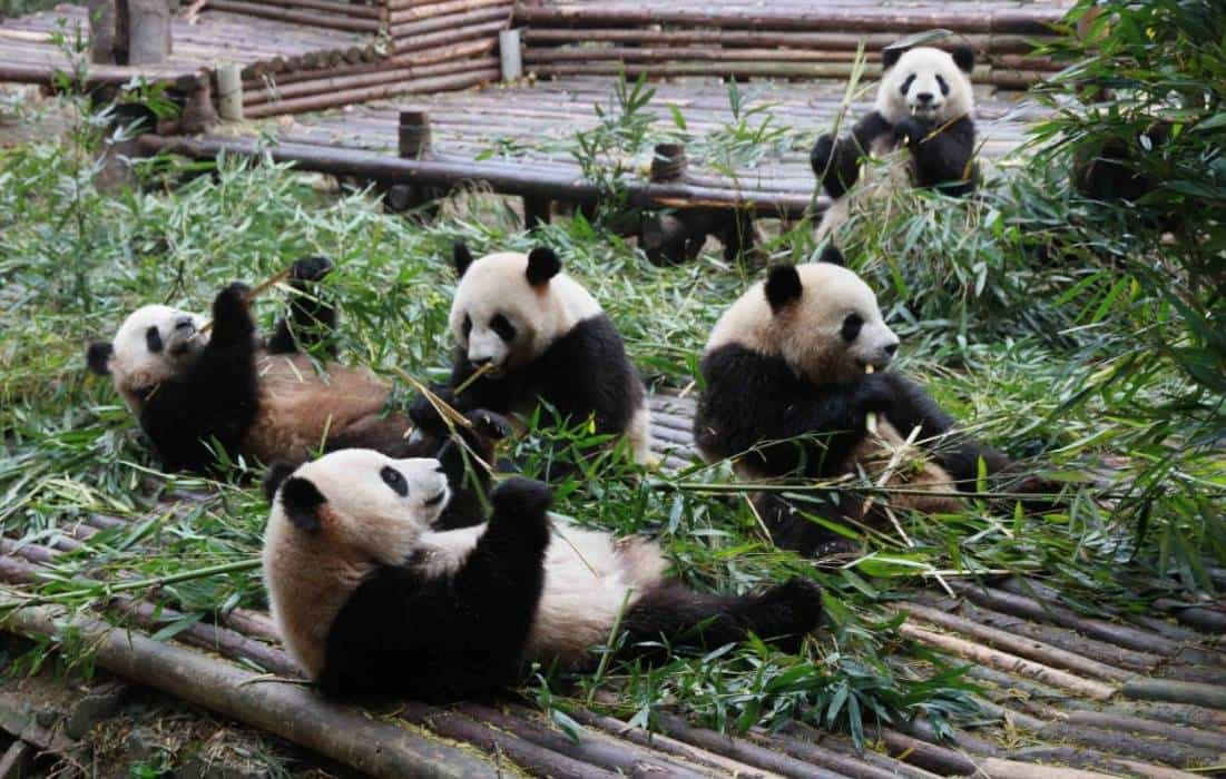 行程美圖